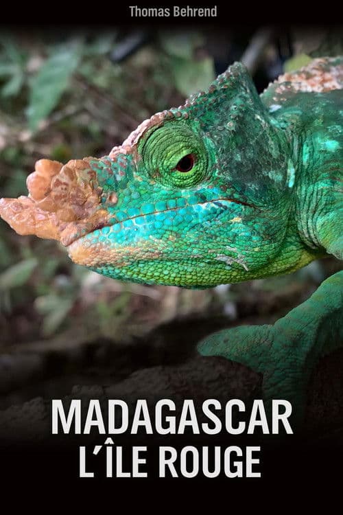 Unbekanntes Madagaskar Season 1 poster