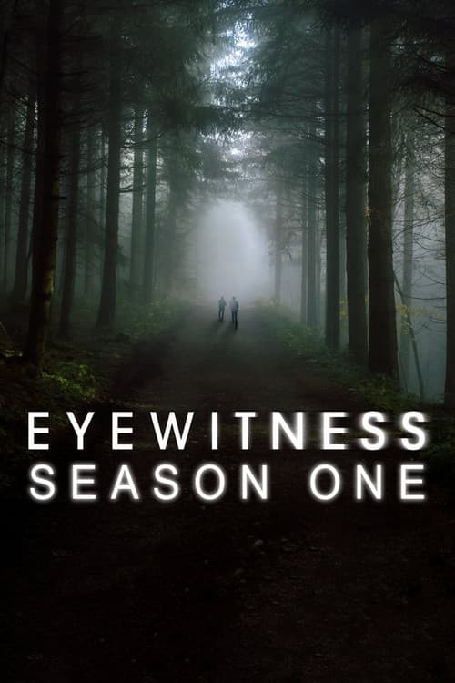 Eyewitness Season 1 poster