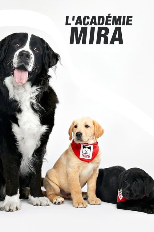 L'académie Mira Season 1 poster