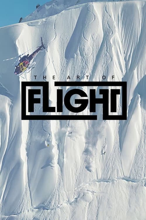 Art of Flight: The Series Season 1 poster