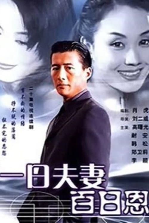 一日夫妻百日恩 Season 1 poster
