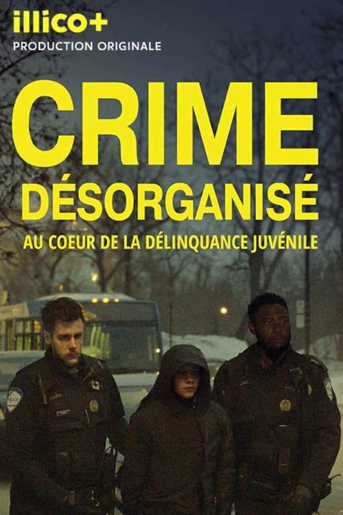 Crime désorganisé: au cœur de la délinquance juvénile Season 1 poster