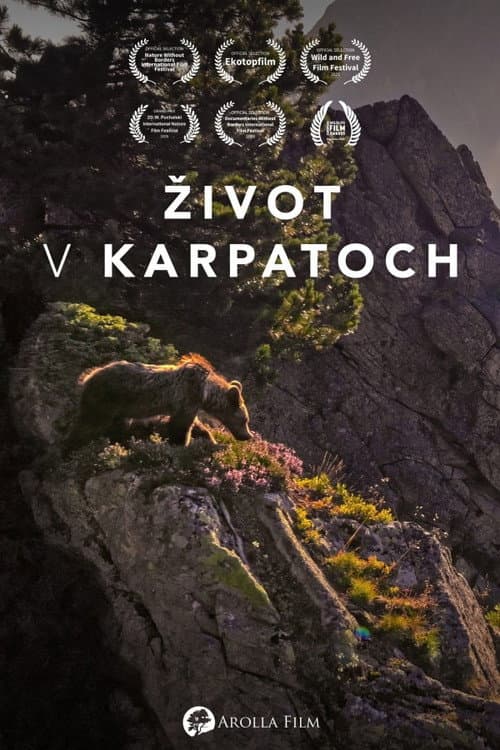 Into the Carpathian Wild Season 1 poster