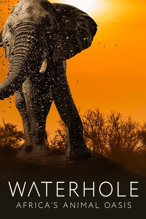 Waterhole: Africa's Animal Oasis Season 1 poster