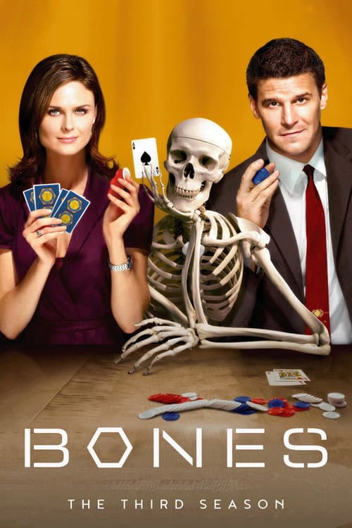 Bones Season 3 poster