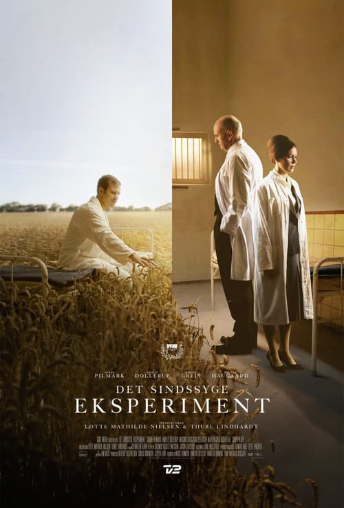Det Sindssyge Eksperiment Season 1 poster