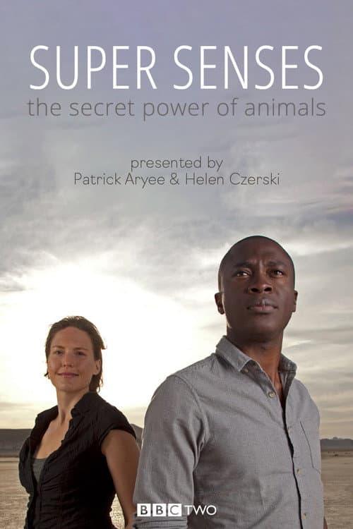 Super Senses: The Secret Power of Animals Season 1 poster