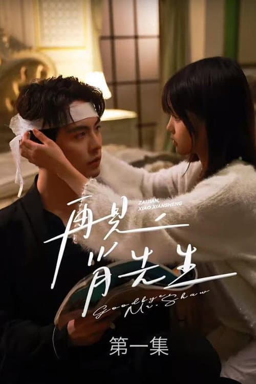再见了，肖先生 Season 1 poster