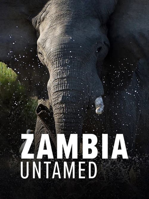Zambia Untamed Season 1 poster