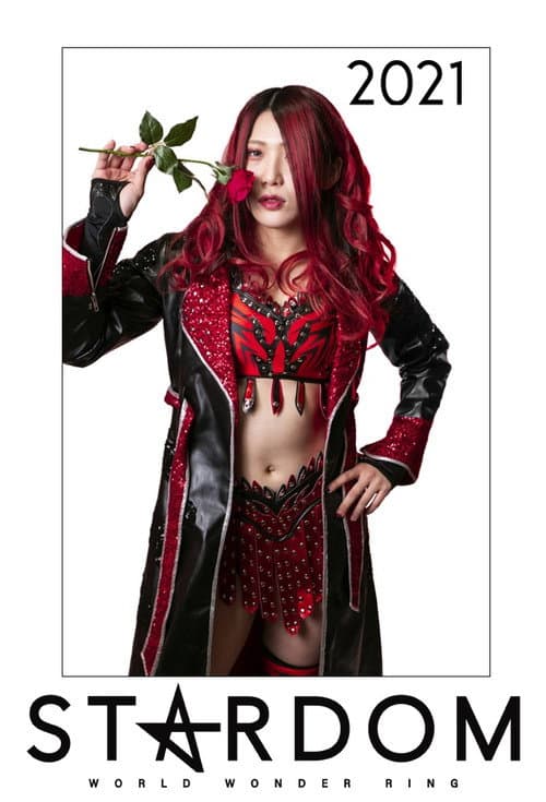 Stardom on Stardom World 2021 poster