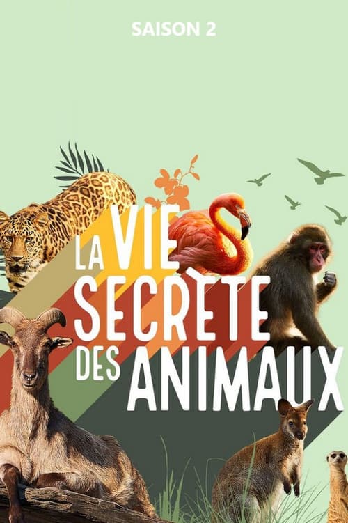La vie secrète des animaux Season 2 poster