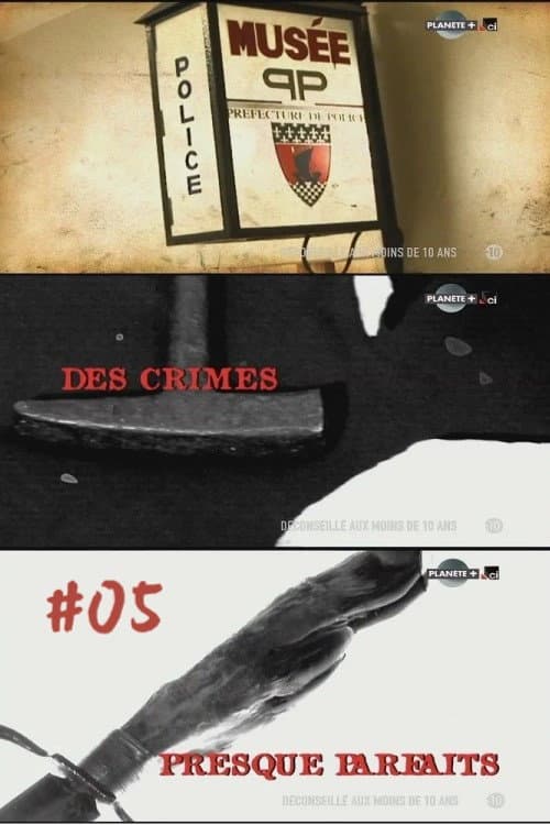Des crimes presque parfaits Season 5 poster