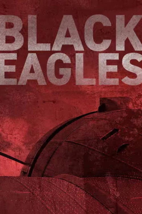 Black Eagles Season 1 poster