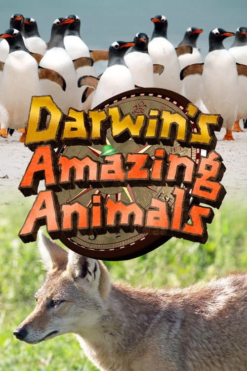 Darwin's Amazing Animals Season 2 poster