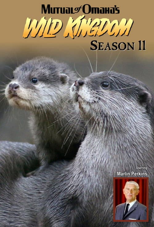 Mutual of Omaha's Wild Kingdom Season 11 poster