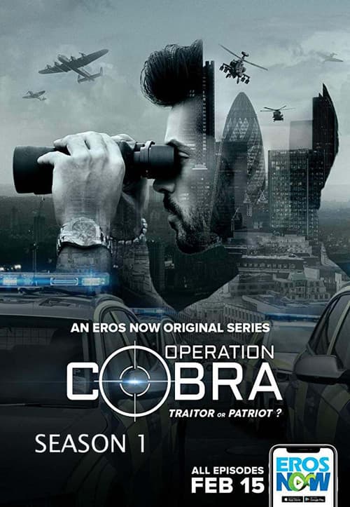 Operation Cobra Season 1 poster