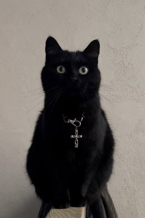 Jonsi