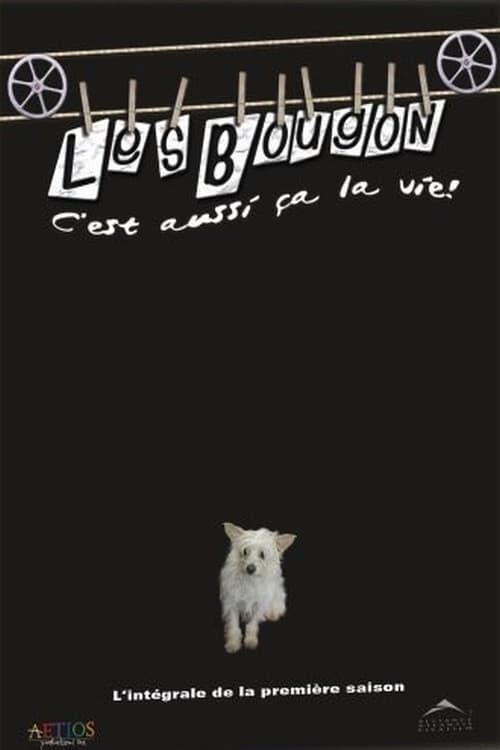 Les Bougon, c'est aussi ça la vie ! Season 1 poster