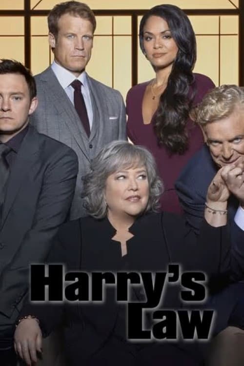 Harry's Law Season 2 poster