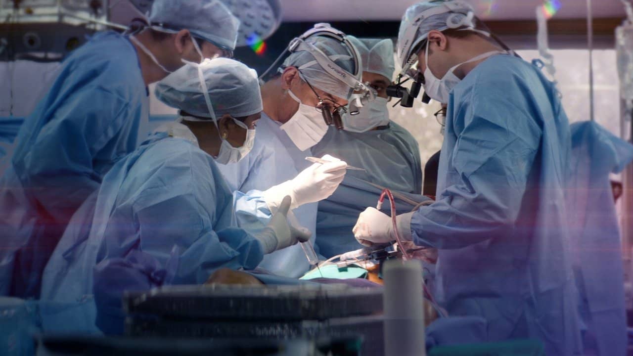 The Surgeon's Cut backdrop