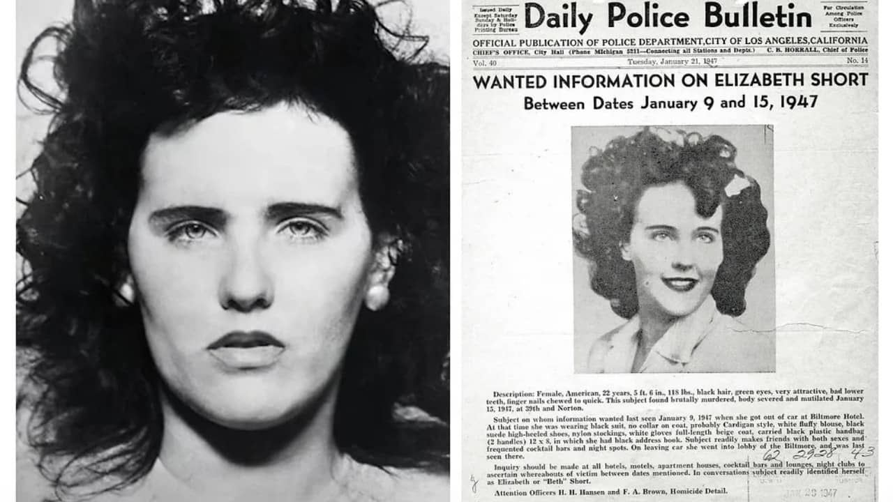 Black Dahlia Confidential backdrop