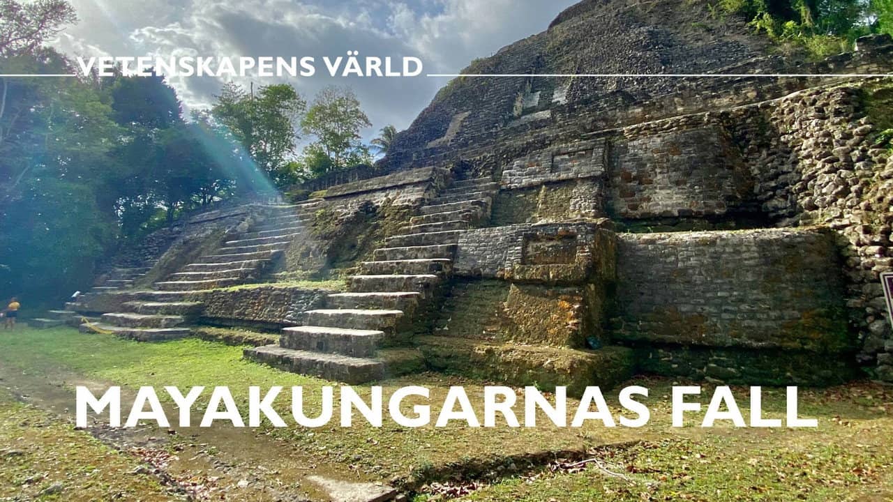 Mayakungarnas fall backdrop