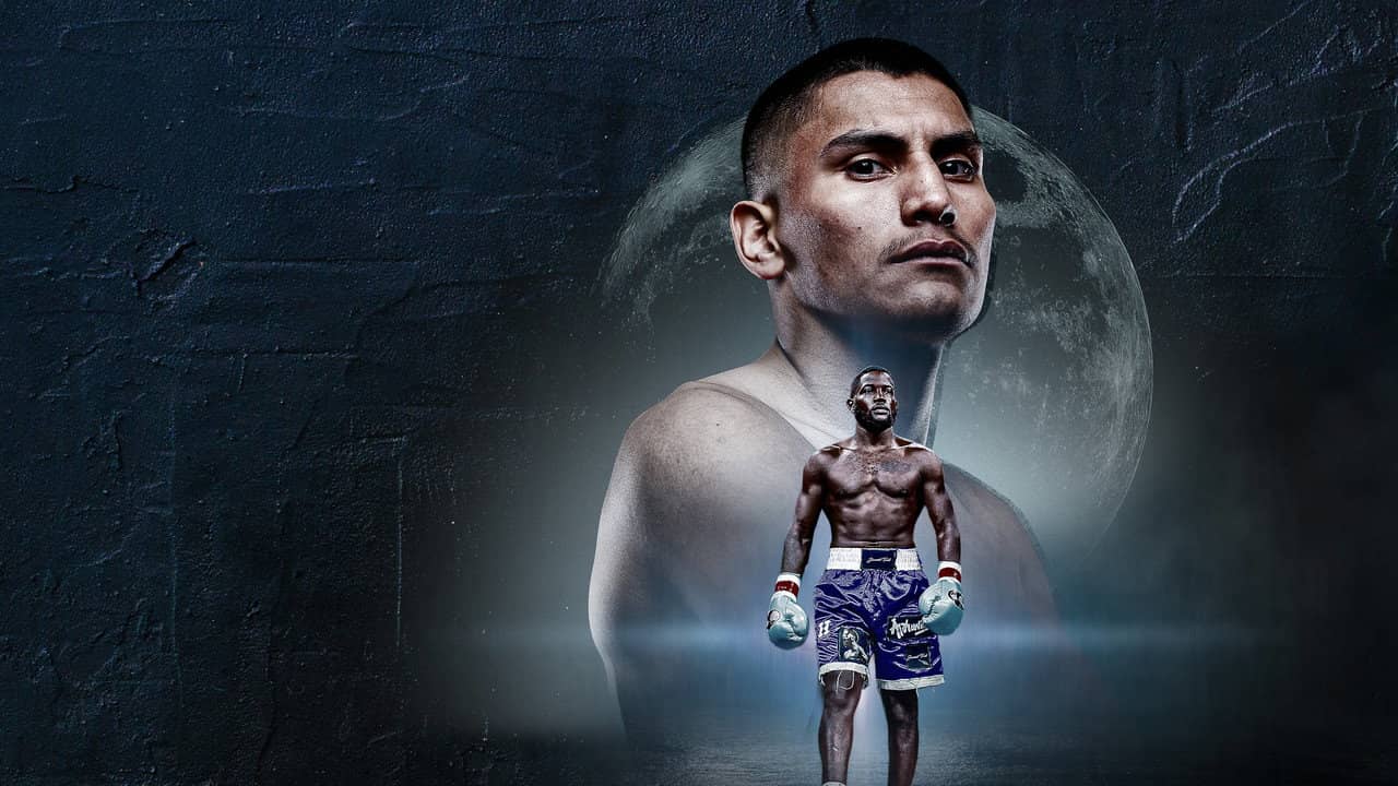Vergil Ortiz Jr vs. Erickson Lubin backdrop