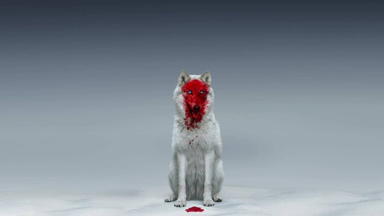 A Winter Fable backdrop