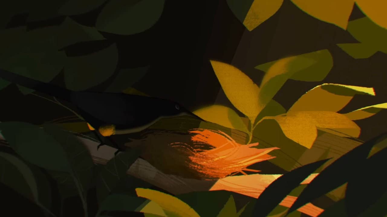 Birdsong backdrop