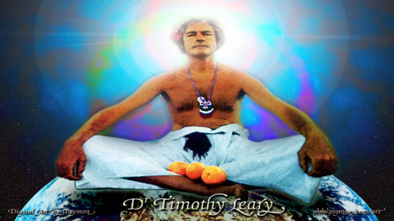 Timothy Leary's Dead backdrop
