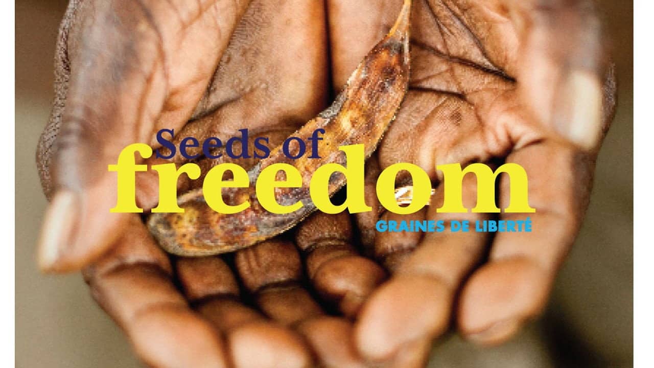 Seeds of Freedom backdrop