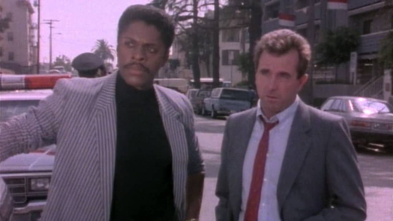 L.A. Heat backdrop