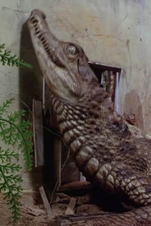 Thunderbirds: Attack of the Alligators!