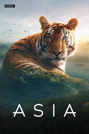 Asia