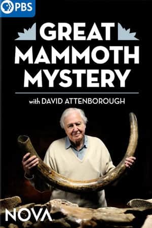 Great Mammoth Mystery