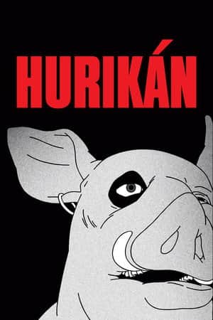 Hurikán