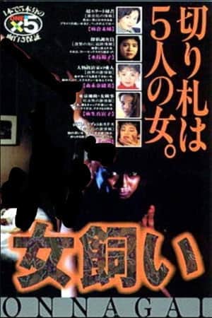 The Woman Tamer