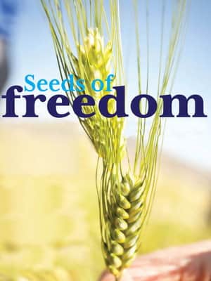 Seeds of Freedom