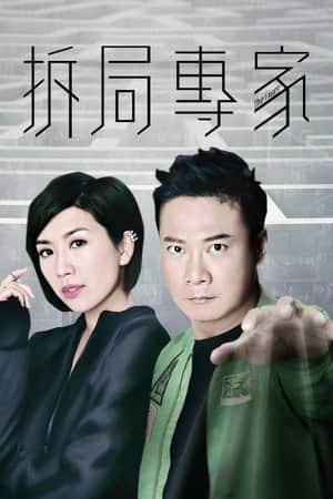 The Fixer