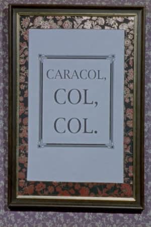 Snail, Cabbage, Cabbage