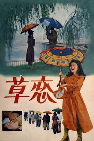 Love In The Rain