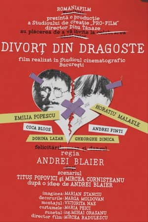 Divorț... din dragoste