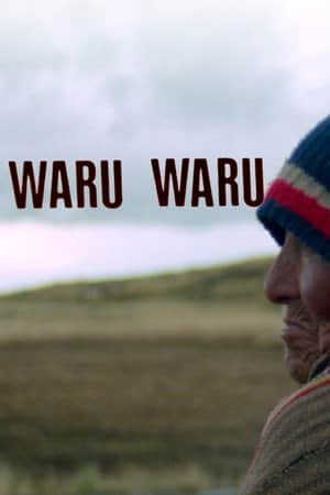 Waru Waru