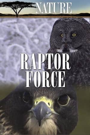 Raptor Force