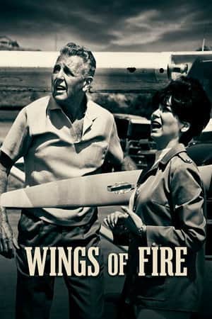 Wings of Fire