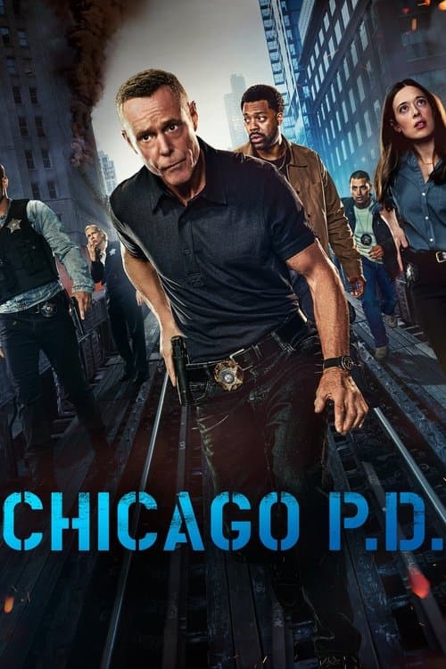 Chicago P.D. Season 12 poster