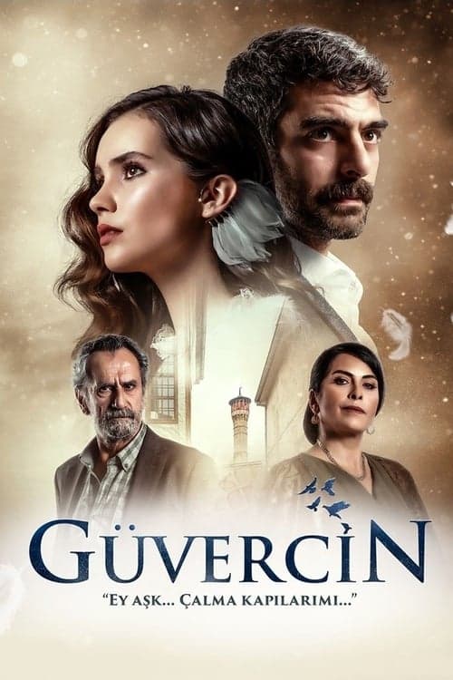 The Pigeon Season 1 poster