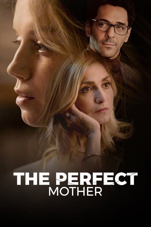 The Perfect Mother Limited Series poster
