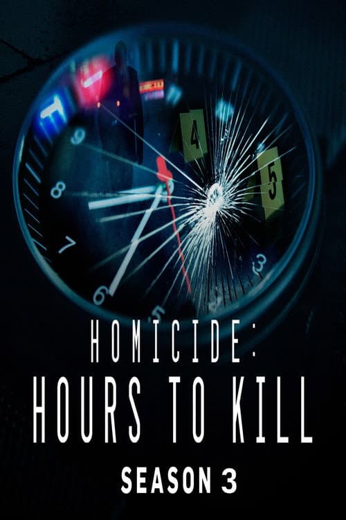 Homicide: Hours to Kill Season 3 poster