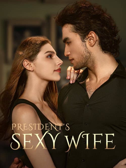 President's Sexy Wife Season 1 poster